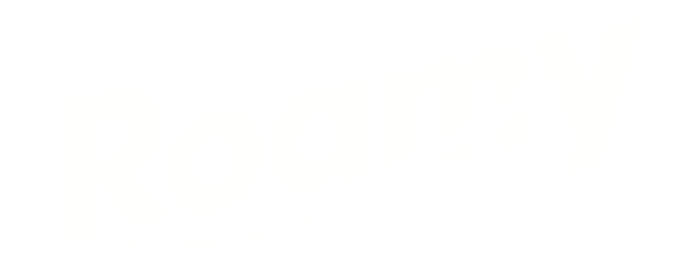 Roamy Logo